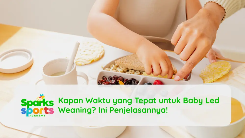 Kapan Waktu yang Tepat untuk Baby Led Weaning Ini Penjelasannya!