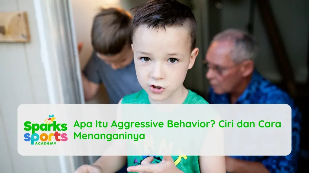 Apa Itu Aggressive Behavior? Ciri dan Cara Menanganinya