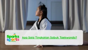 Apa Saja Tingkatan Sabuk Taekwondo?