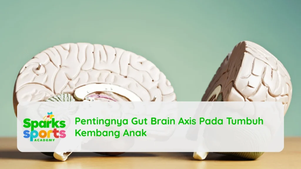 Pentingnya Gut Brain Axis Pada Tumbuh Kembang Anak