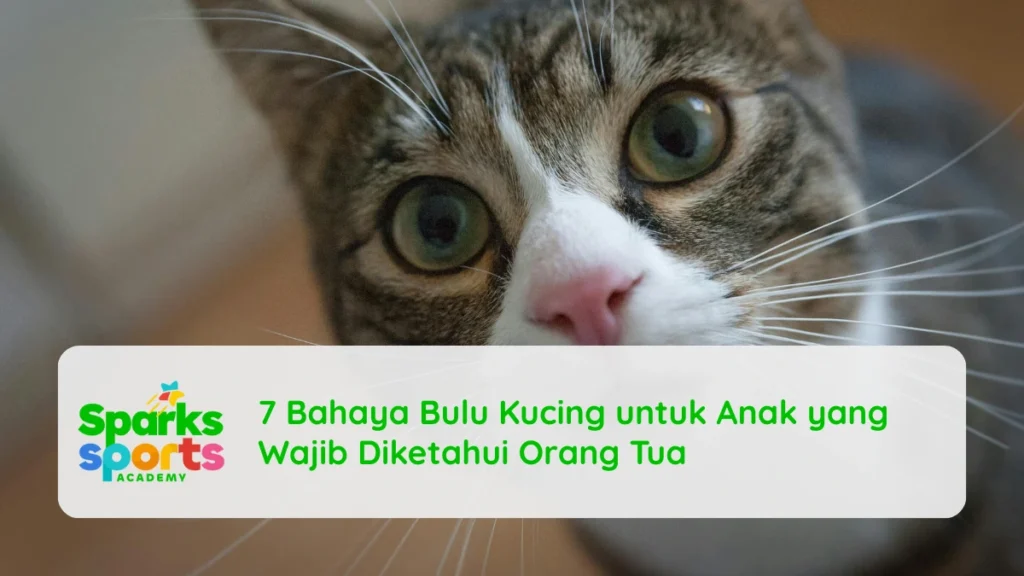 7 Bahaya Bulu Kucing untuk Anak yang Wajib Diketahui Orang Tua