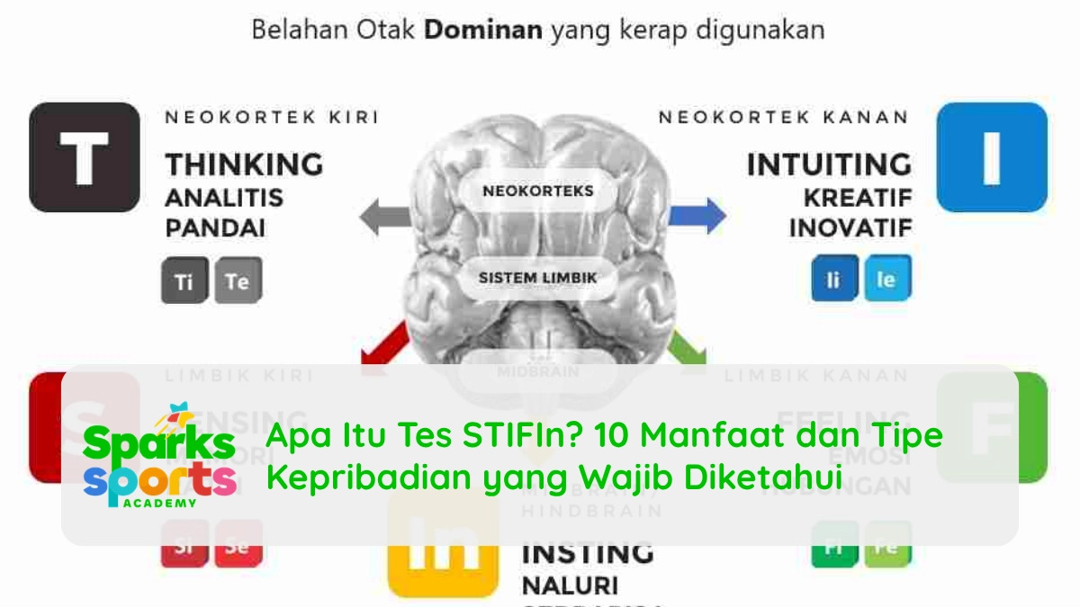 Apa Itu Tes STIFIn? 10 Manfaat dan Tipe Kepribadian yang Wajib Diketahui
