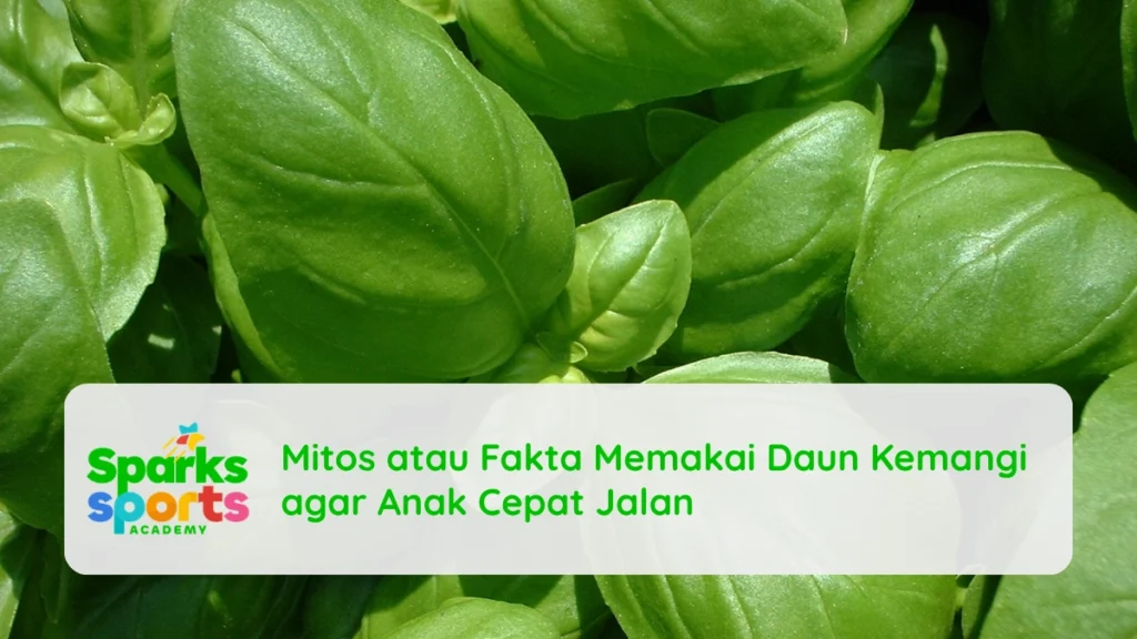 Mitos atau Fakta Memakai Daun Kemangi agar Anak Cepat Jalan