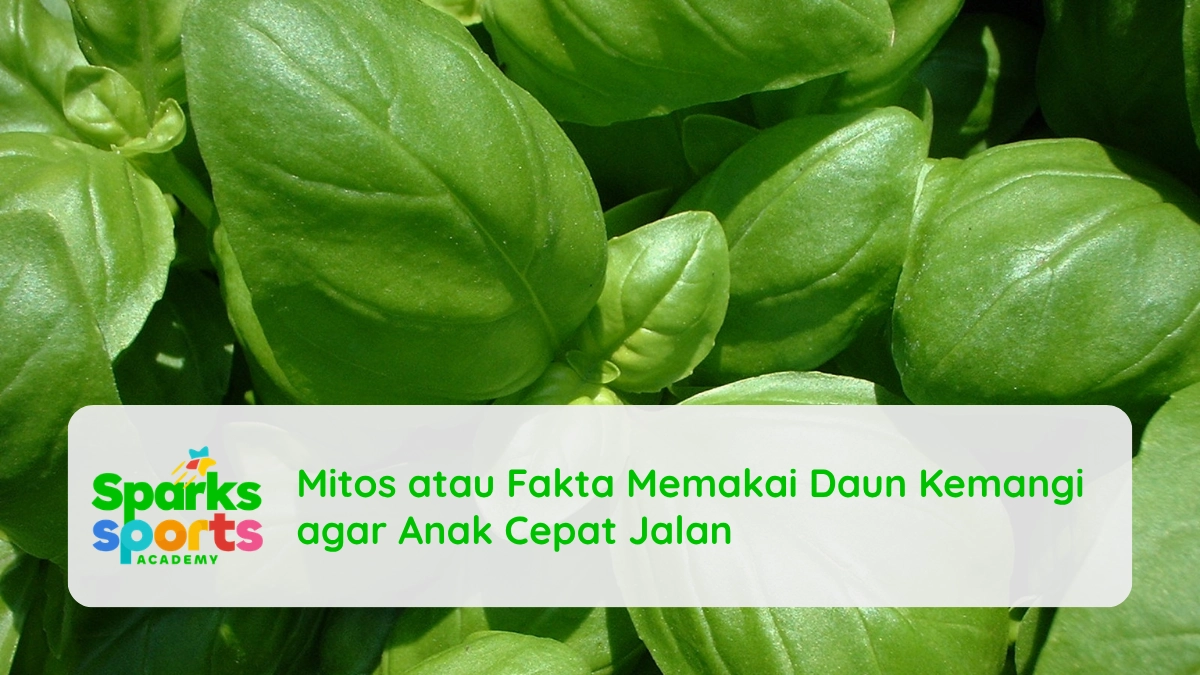 Mitos atau Fakta Memakai Daun Kemangi agar Anak Cepat Jalan