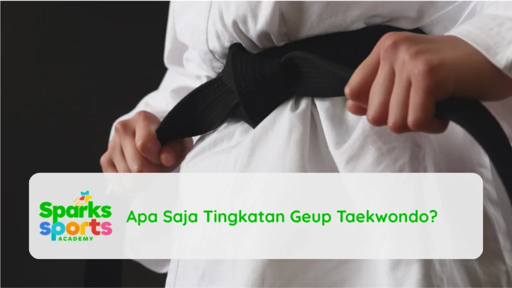 Apa Saja Tingkatan Geup Taekwondo?