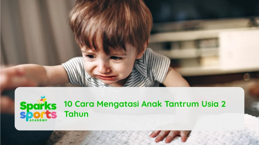 10 Cara Mengatasi Anak Tantrum Usia 2 Tahun