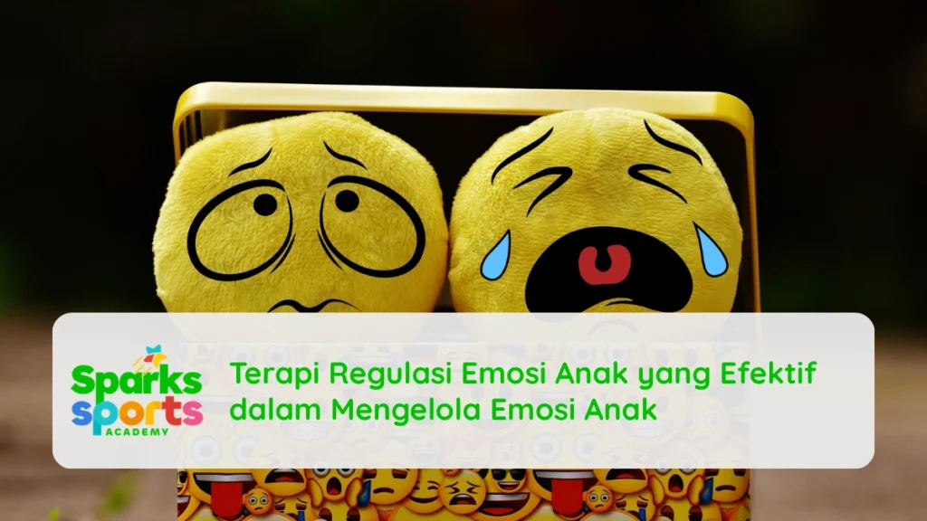 Terapi Regulasi Emosi Anak yang Efektif dalam Mengelola Emosi Anak