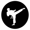 icon taekwondo 10