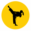 icon taekwondo 2