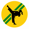 icon taekwondo 3