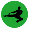 icon taekwondo 4