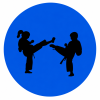 icon taekwondo 6