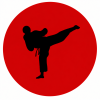 icon taekwondo 8