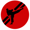 icon taekwondo 9